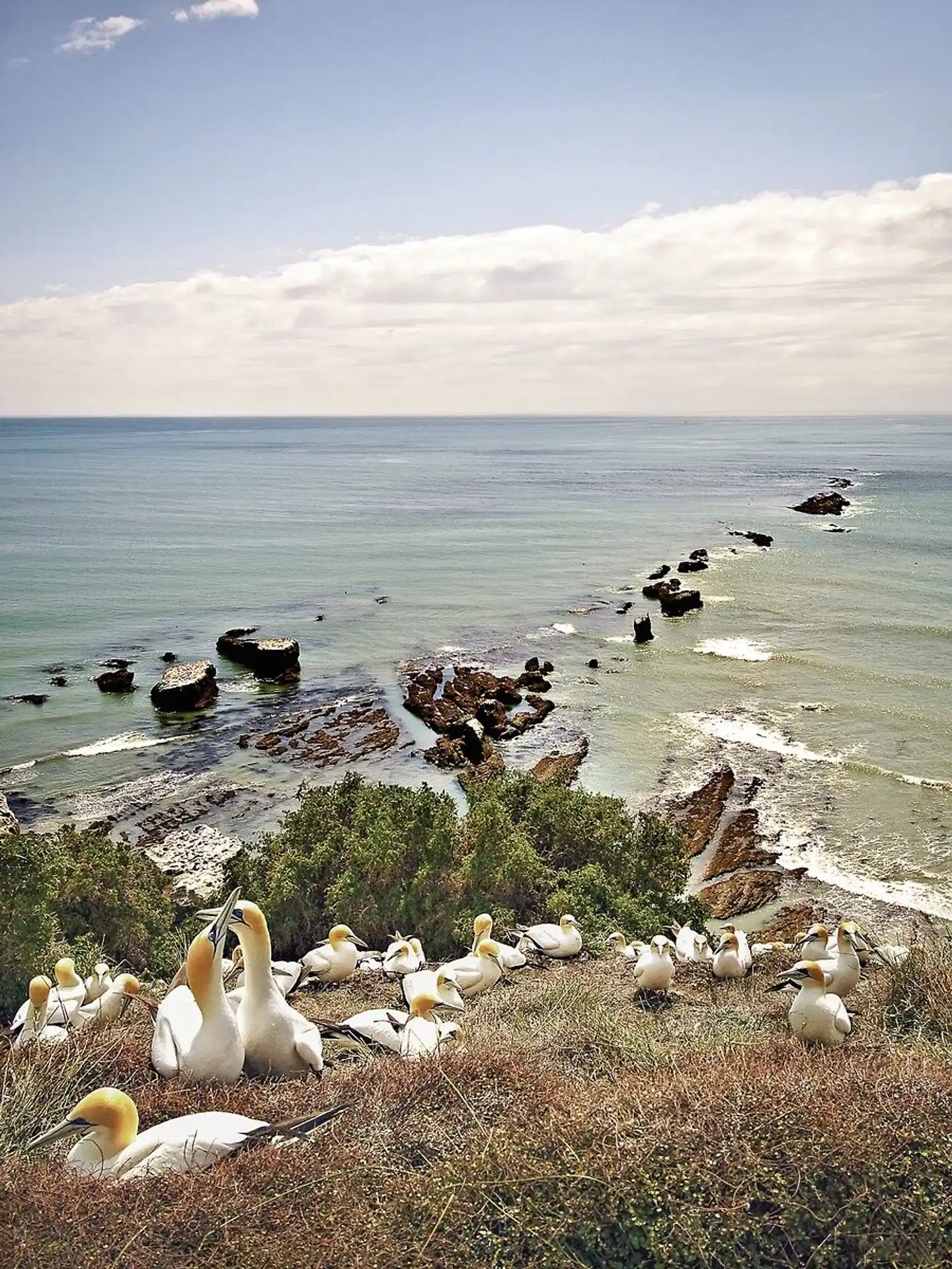 Neuseeland auf eigene Faust (Christchurch-Auckland) Landschaft
