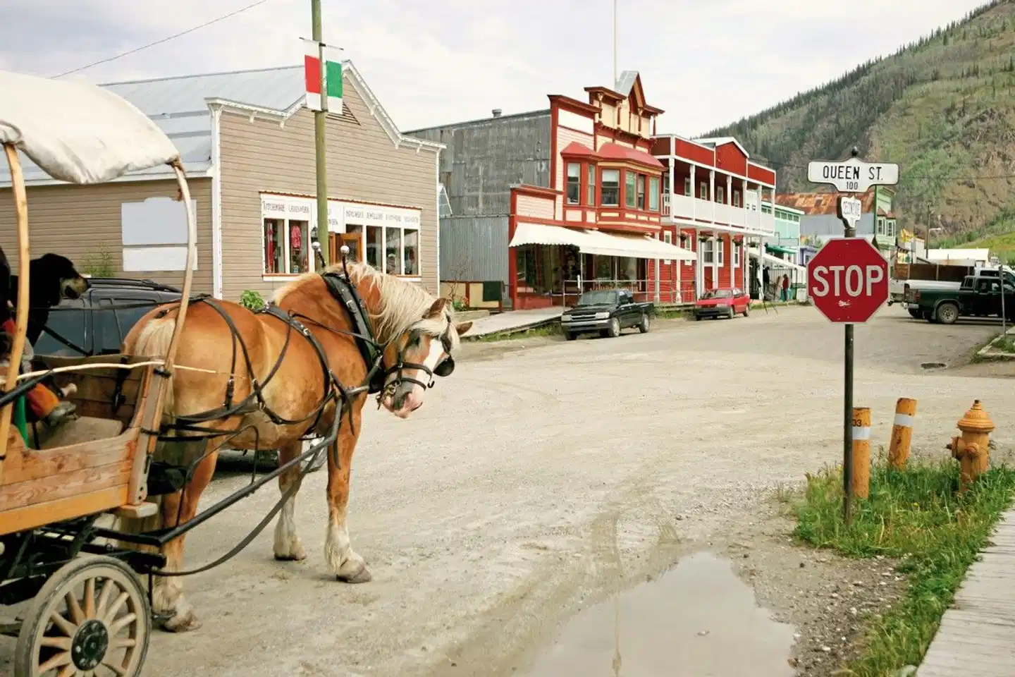 Arktischer Ozean, Tundra & Dempster Highway (Nordroute) Tiere