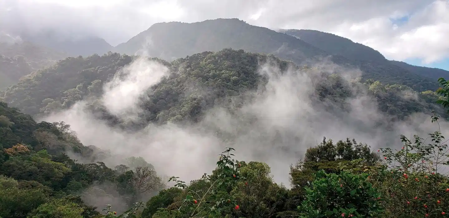 Mount Totumas Cloud Forest Lodge Landschaft