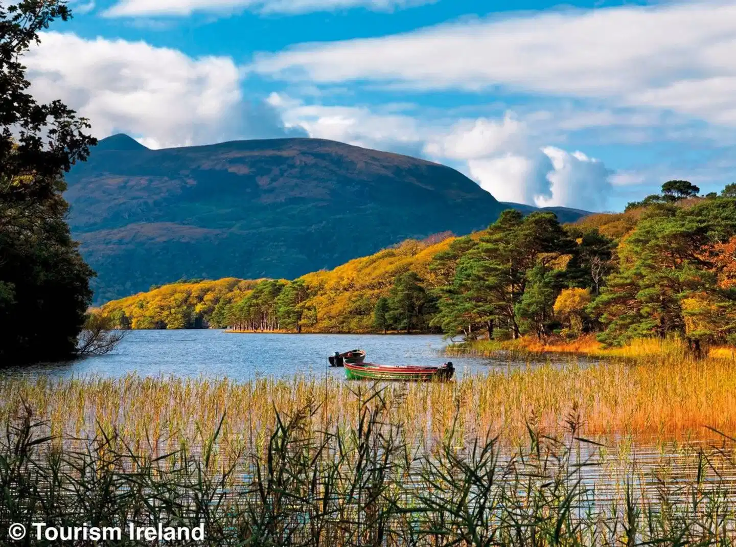 Höhepunkte rund um Killarney Landschaft