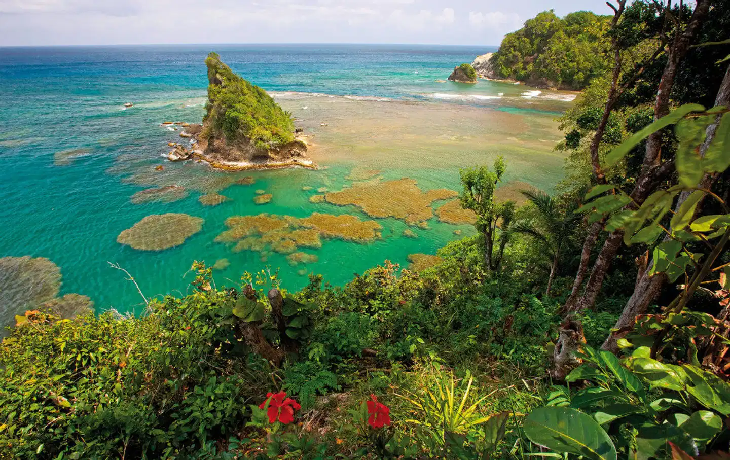 100% Dominica - Insel für Entdecker Landschaft