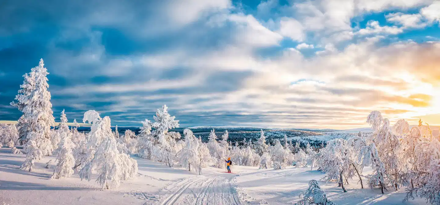 Arktische Kontraste - Von Tromsø nach Lappland Landschaft