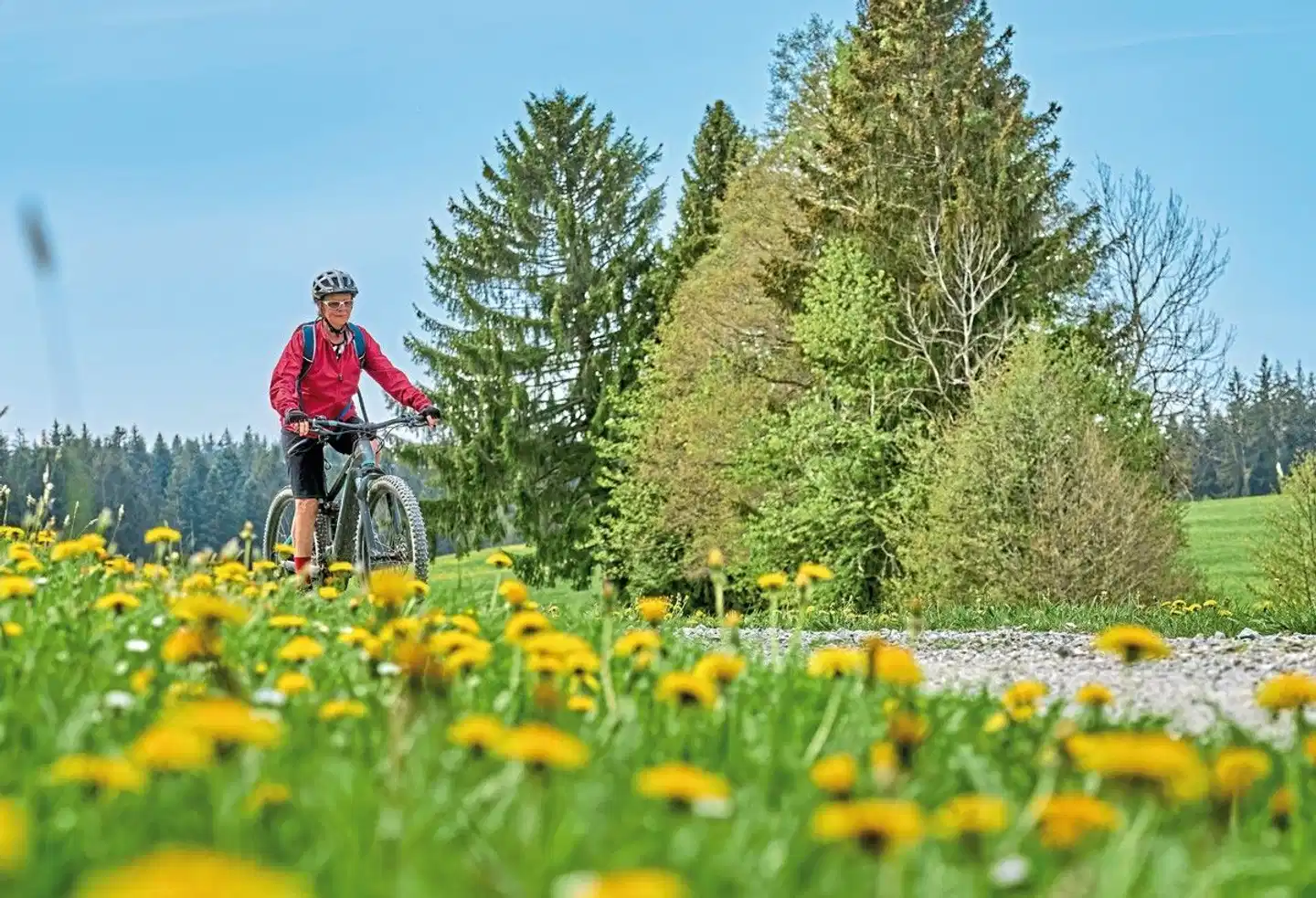 Radreise Hallertau Landschaft