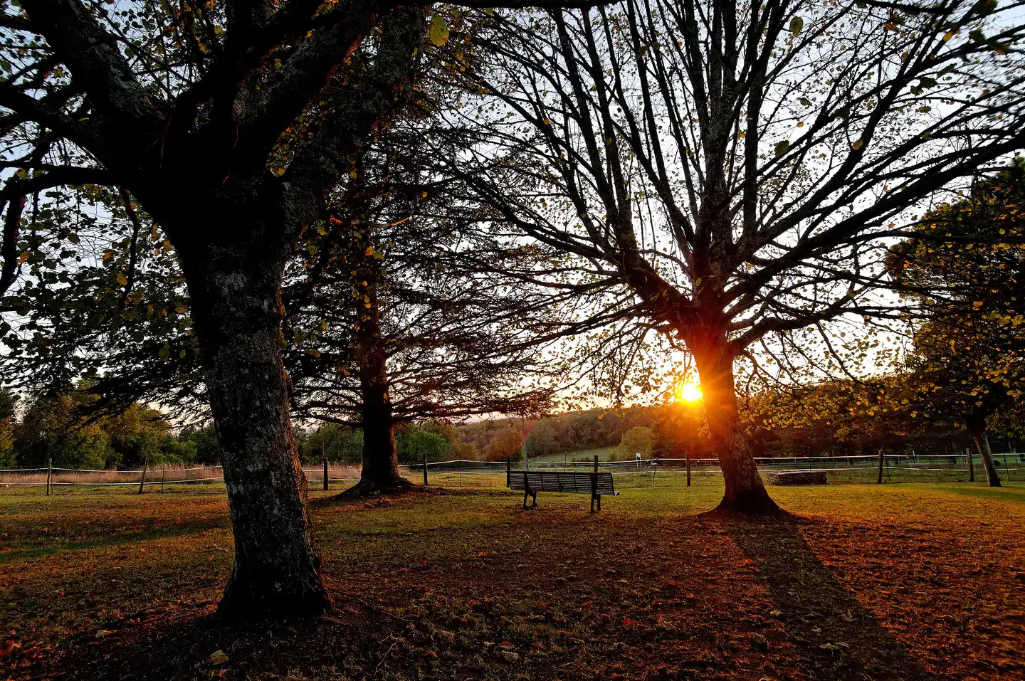 La Metairie Garten