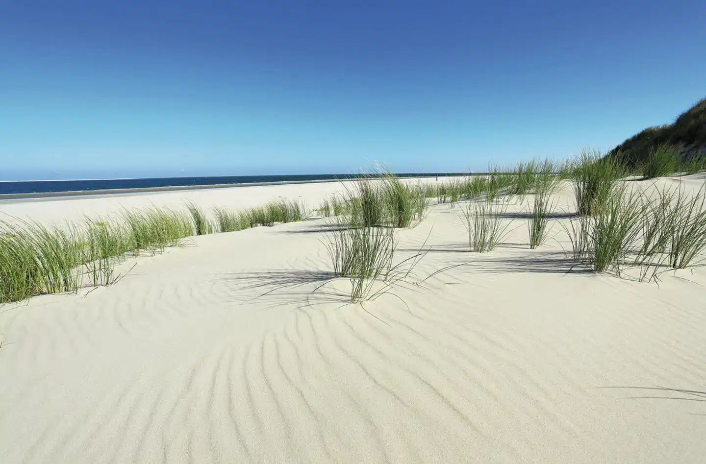 Ostfriesland Inselhüpfen Deluxe Strand
