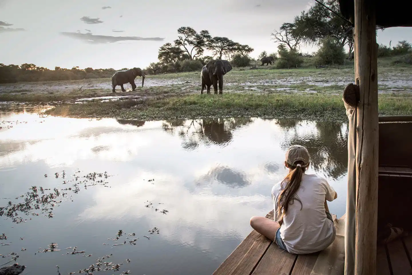 Botswana - Safaritraum mit Natural Selection Strand