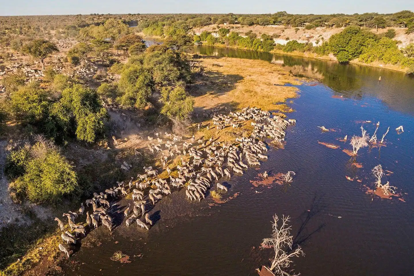 Botswana - Safaritraum mit Natural Selection Landschaft