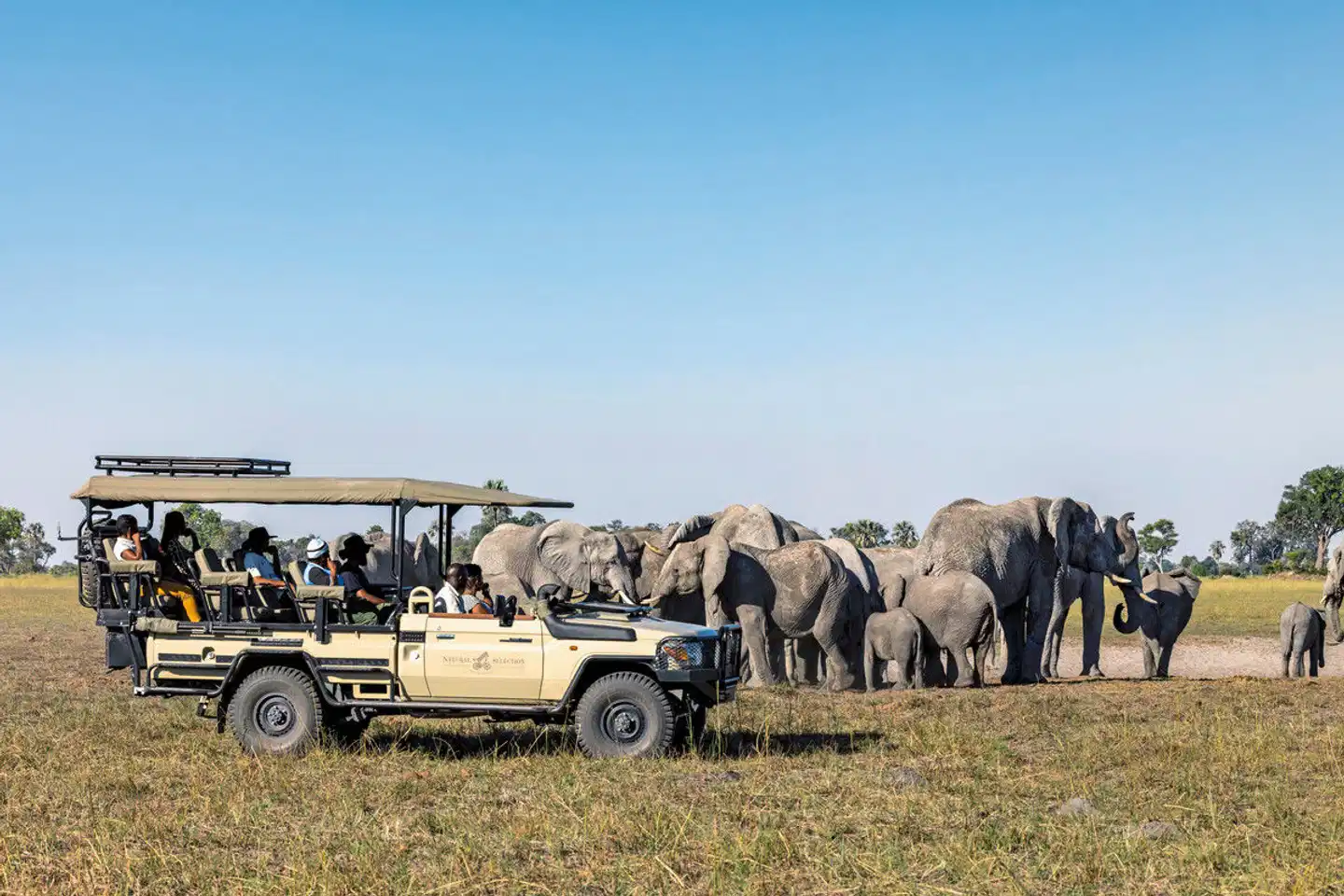 Botswana - Safaritraum mit Natural Selection Tiere
