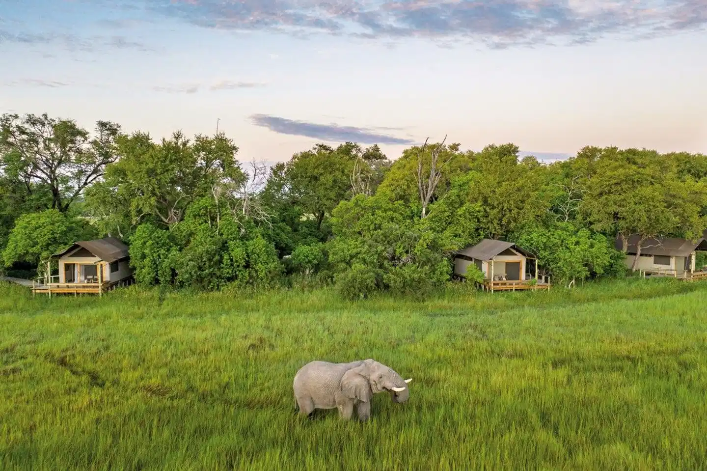 Botswana - Safaritraum mit Natural Selection Tiere