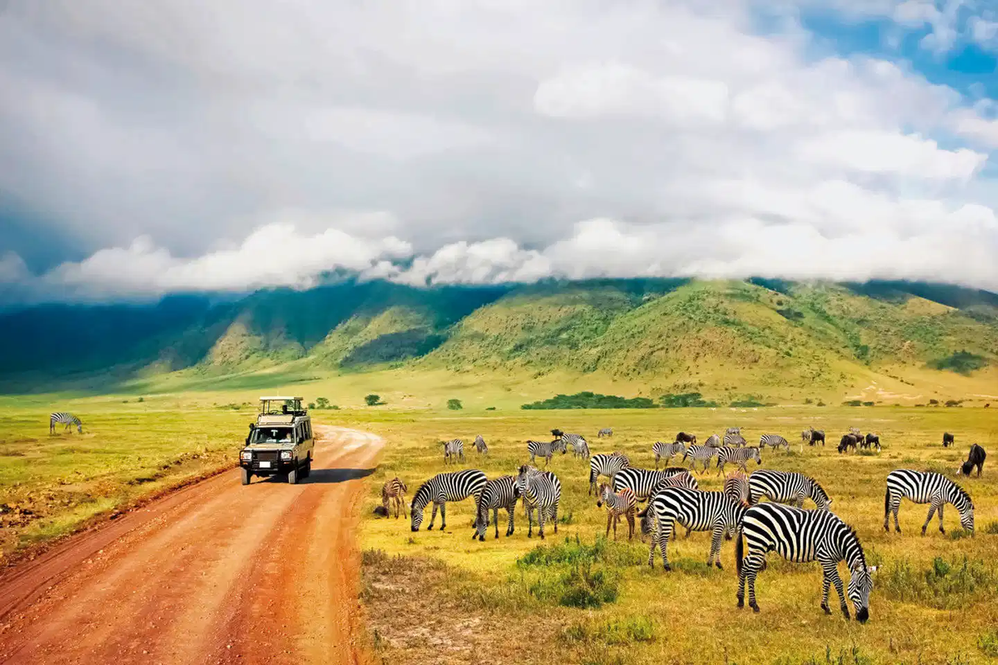 Kultur und Safari Tiere