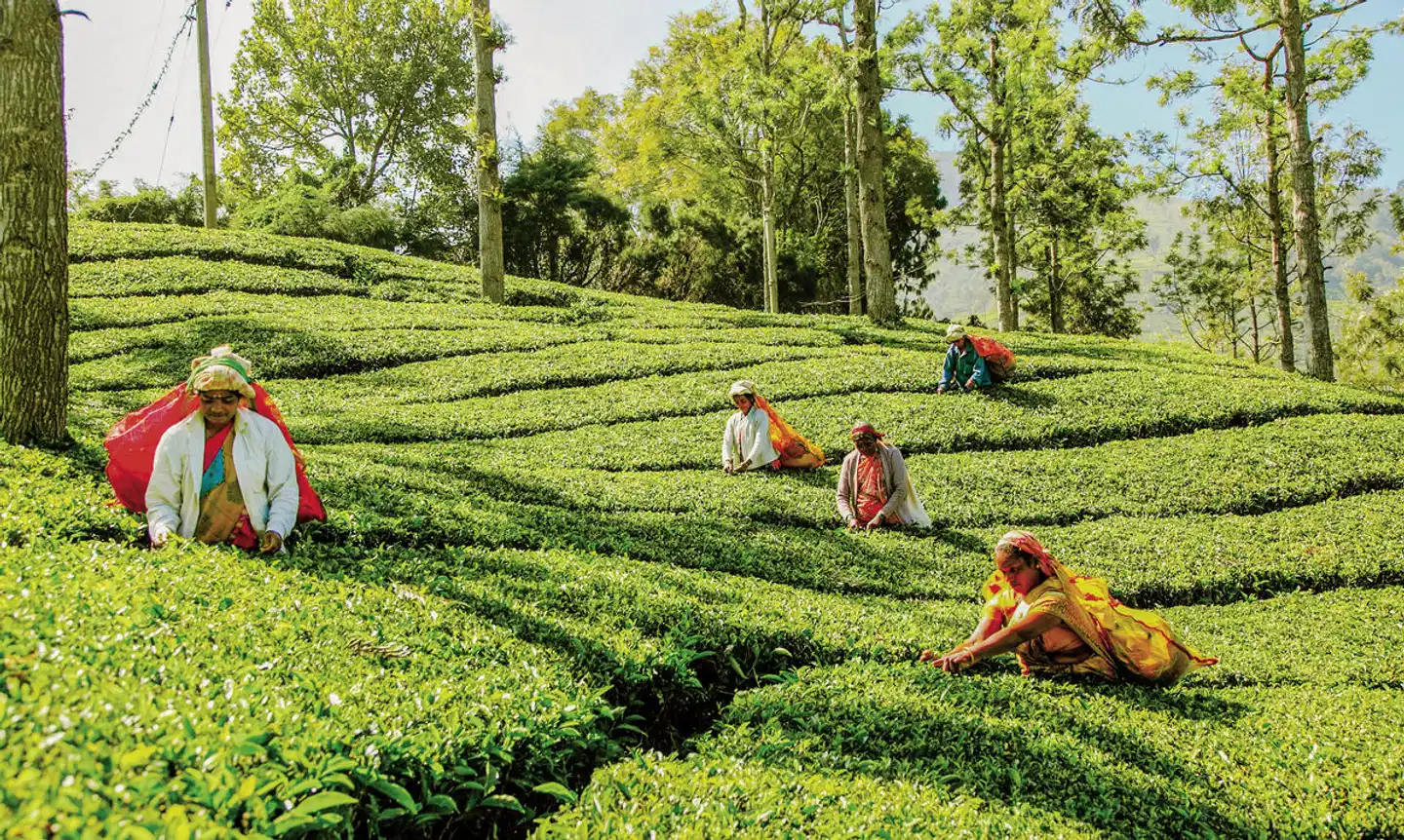 Sri Lanka Allround (Gruppenreise) Sport und Entertainment