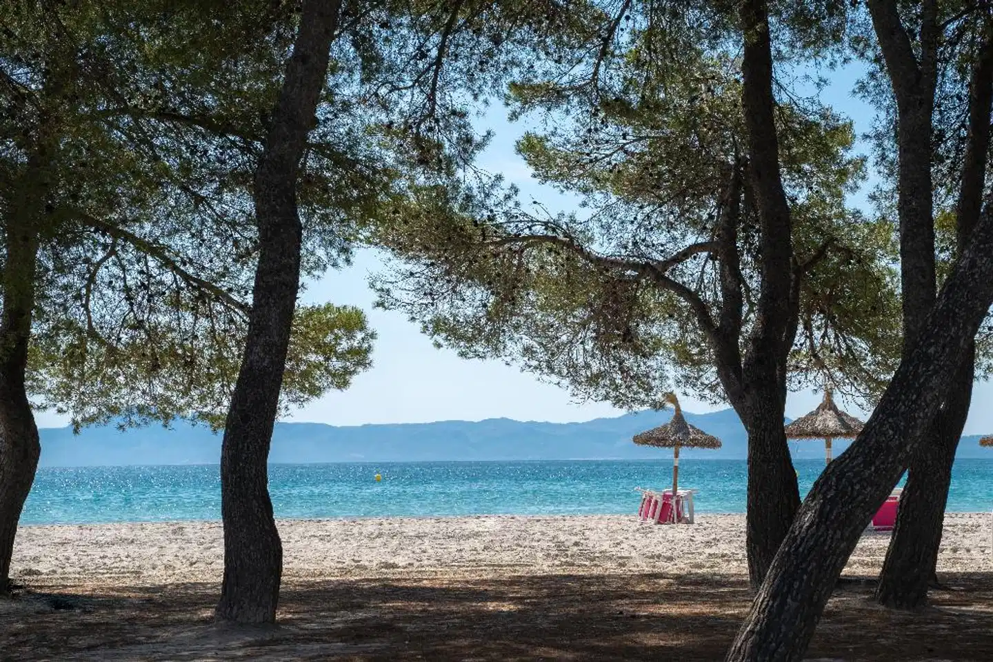 Lime Playa de Alcudia Strand
