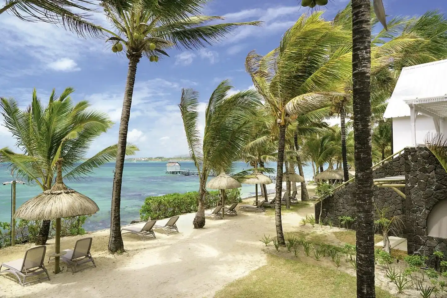 Tropical Attitude Terrasse