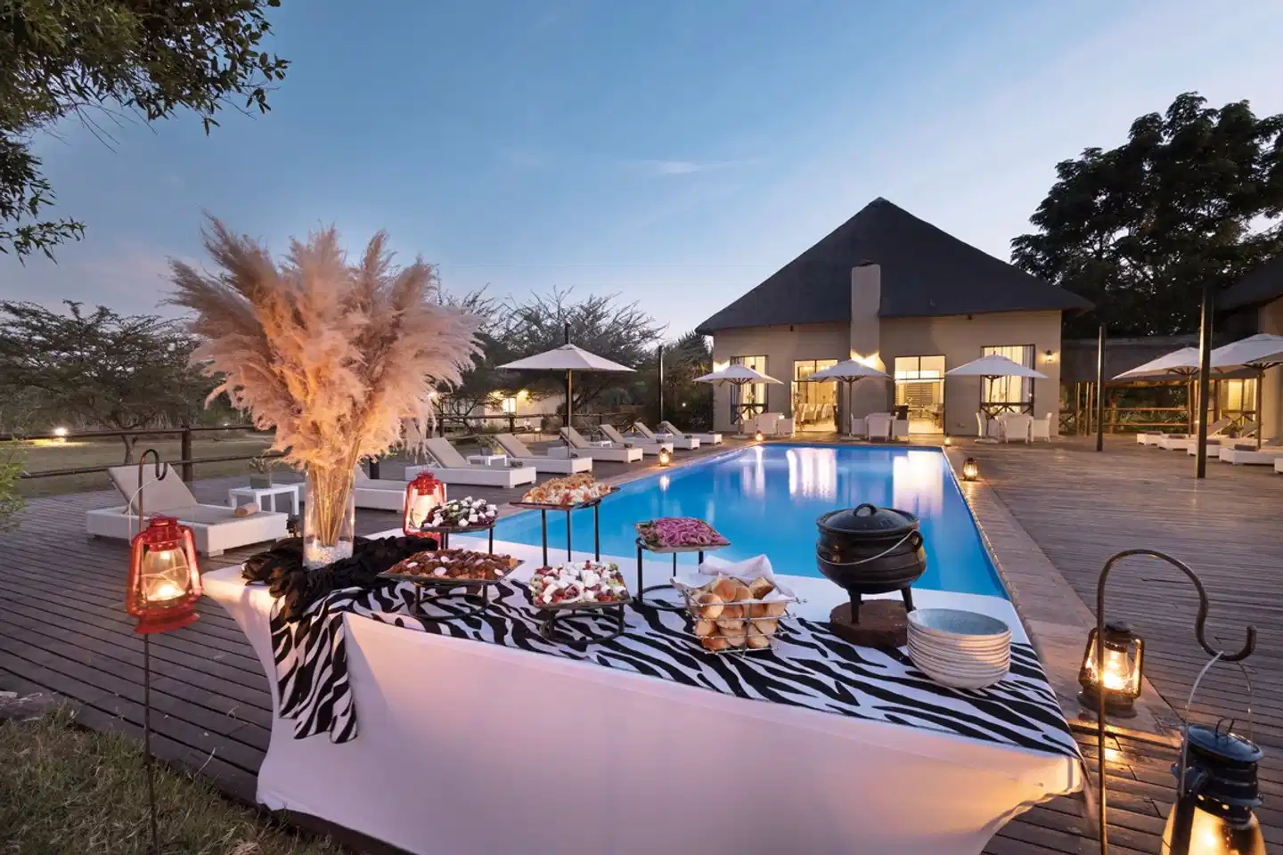 Safari Plains Pool