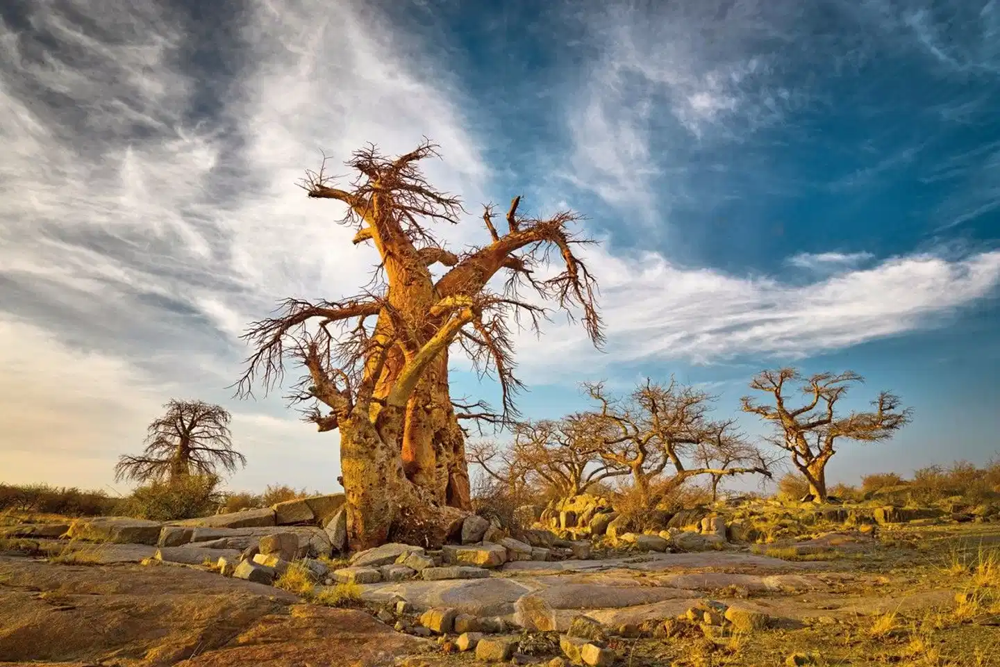 Namibie & Botswana à votre guise Landschaft