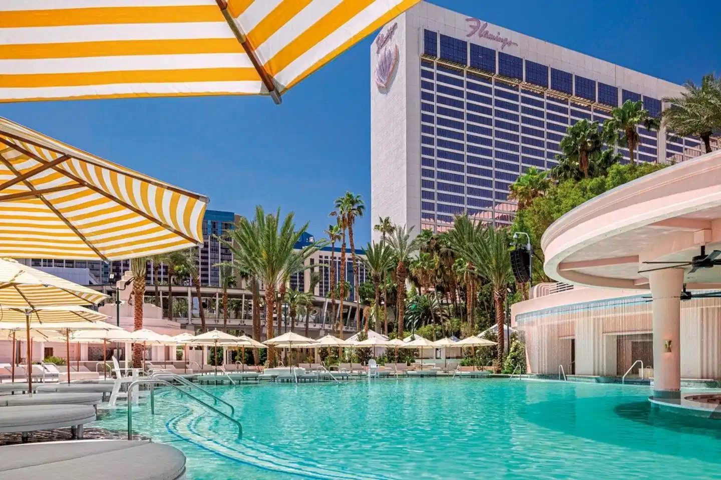 Flamingo Las Vegas Pool