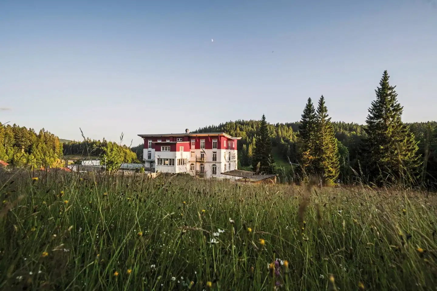 Waldhotel am Notschreipass Landschaft