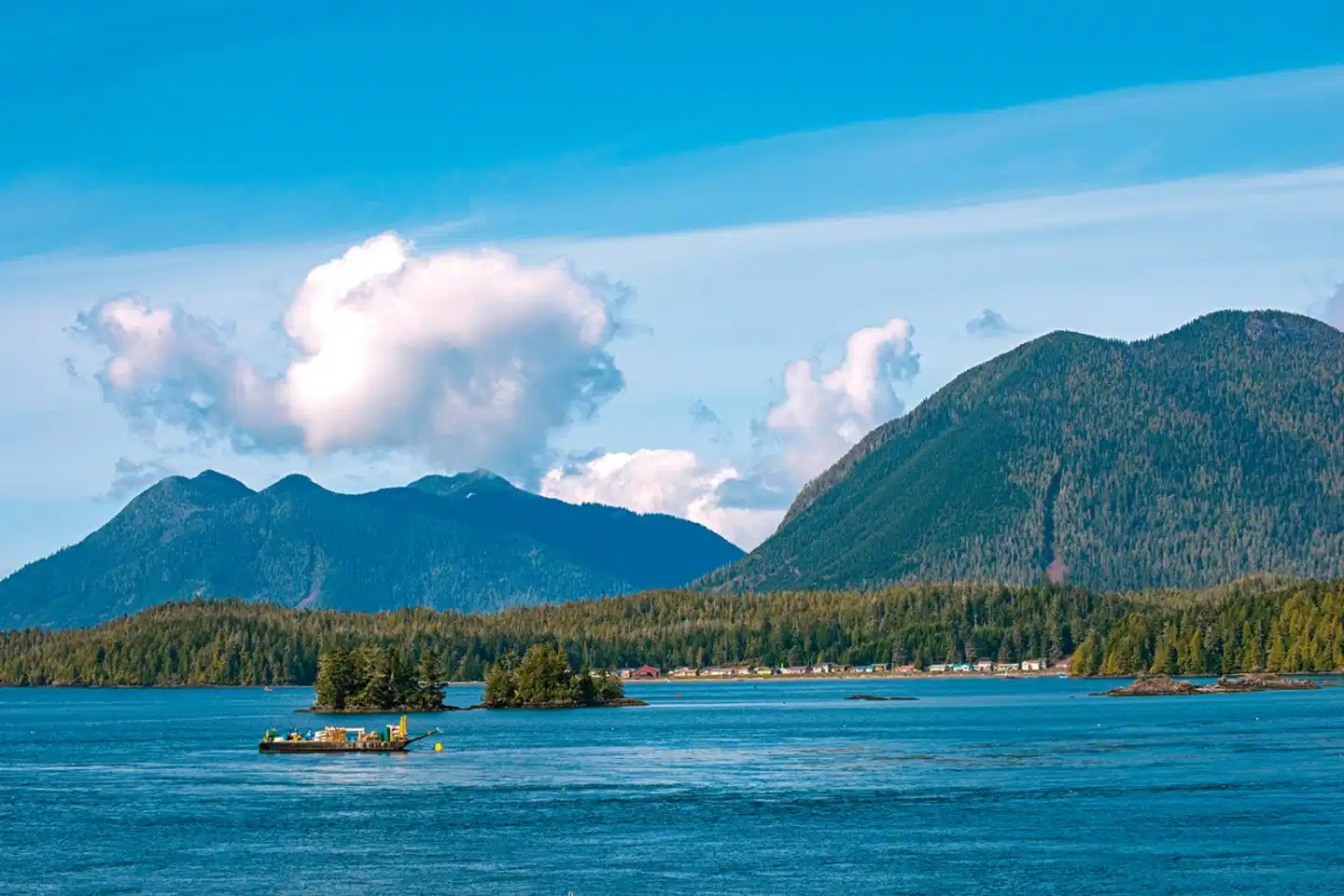 Bären, Wale & Vancouver Island Landschaft