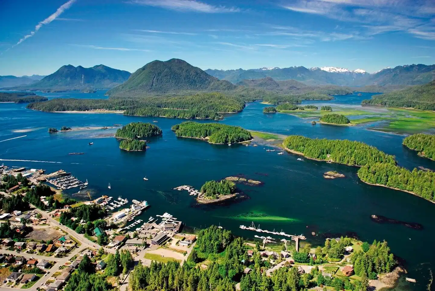 Bären, Wale & Vancouver Island Landschaft
