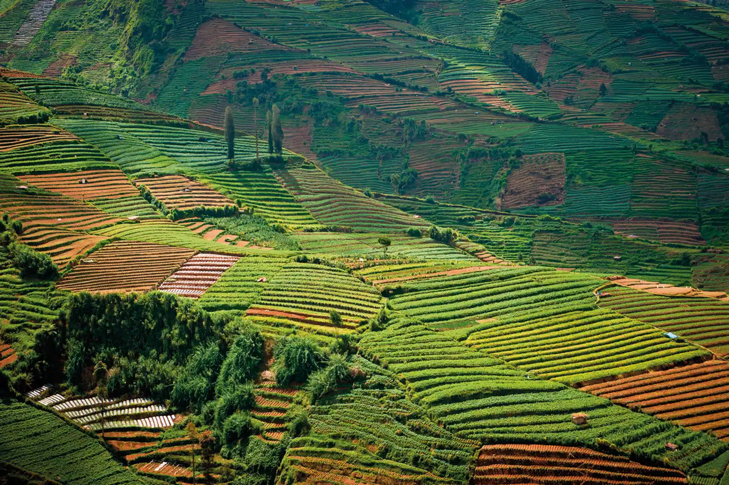 Natur, Kultur und Tradition (Privatreise) Landschaft