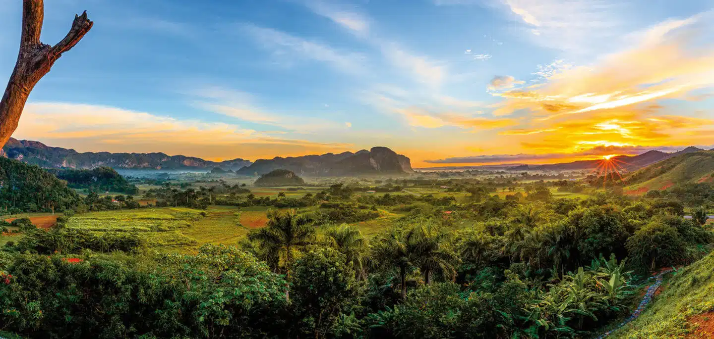 Cocktail Cubano Landschaft