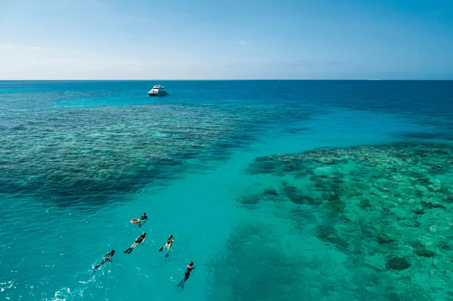 Reef & Rainforest Strand
