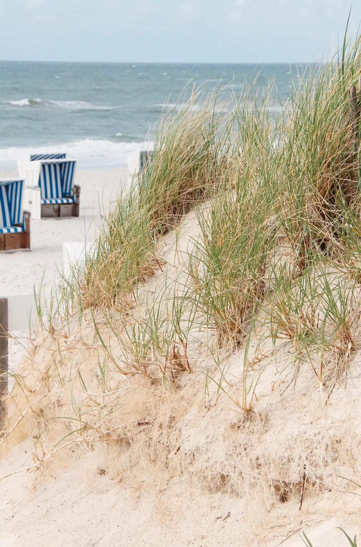Nordsee Reise mit Mini-Kreuzfahrt auf der Ostsee Tiere
