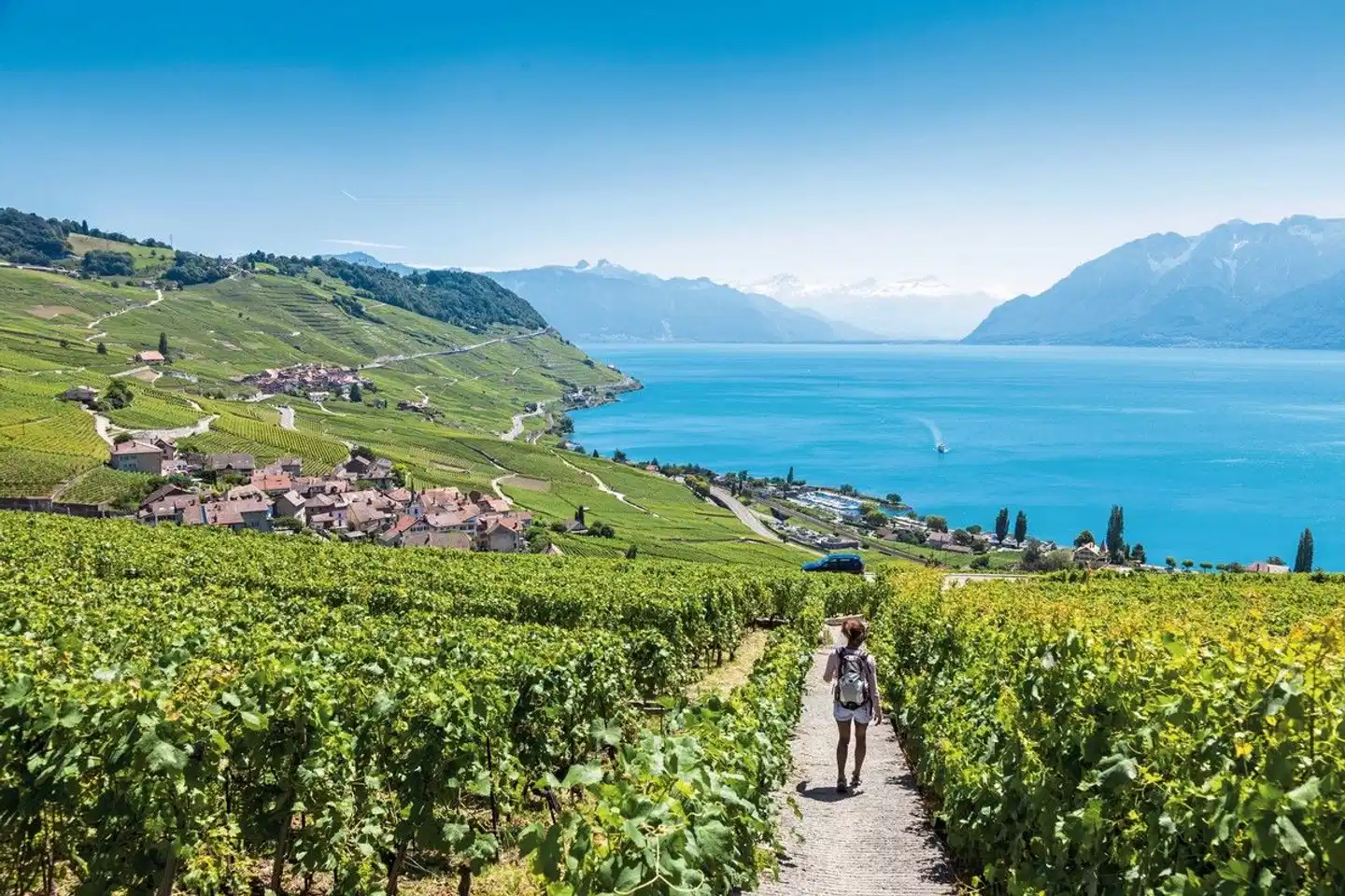 GoldenPass Express von Montreux nach Luzern Landschaft