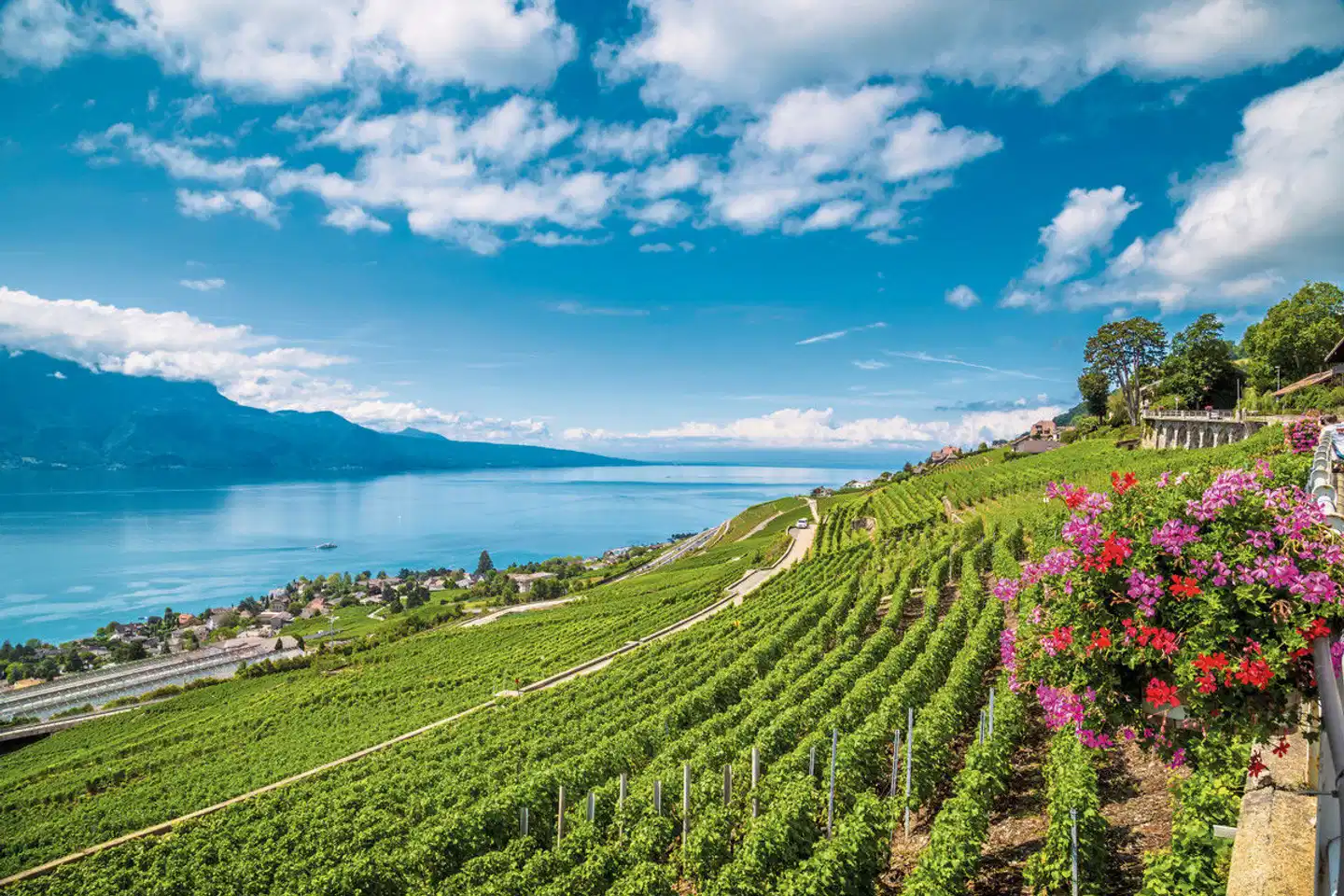 GoldenPass Express von Montreux nach Luzern Landschaft
