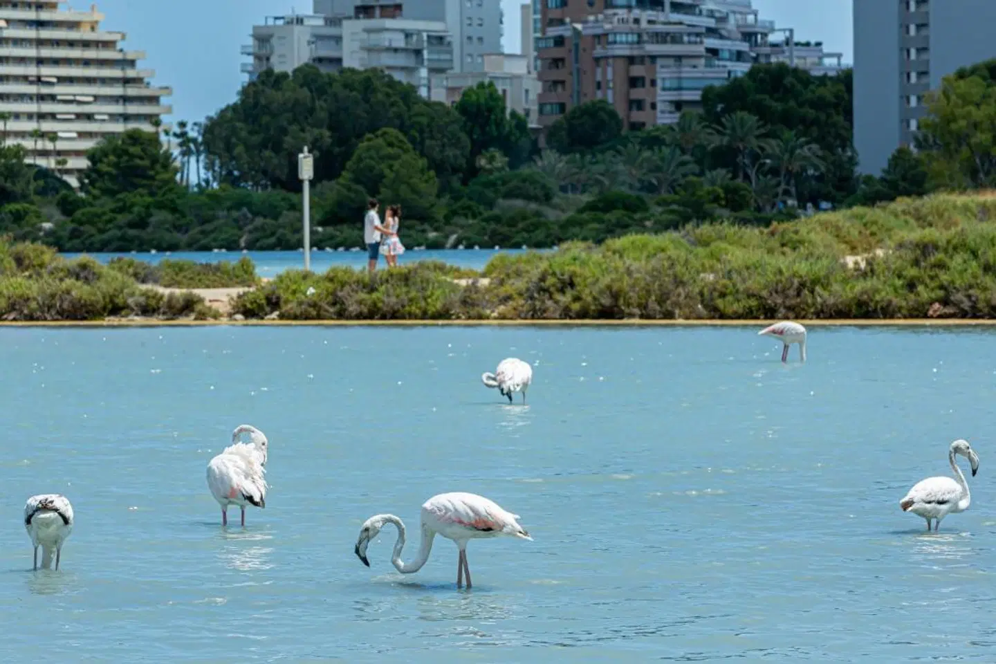 AR Roca Esmeralda Wellness & Spa Hotel Tiere