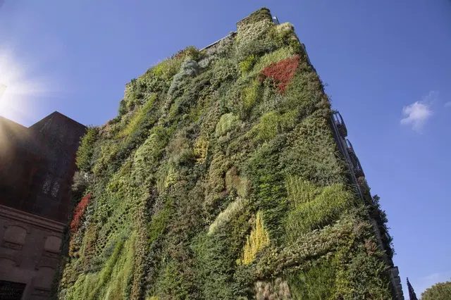 Hyatt Regency Hesperia Madrid Landschaft