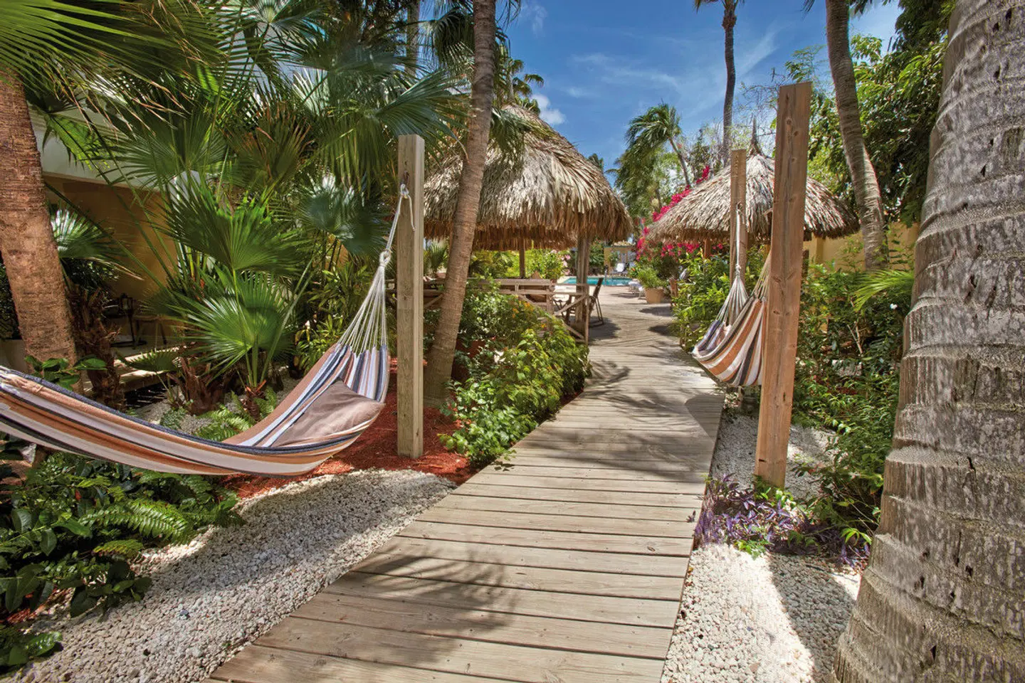 Paradera Park Aruba Garten