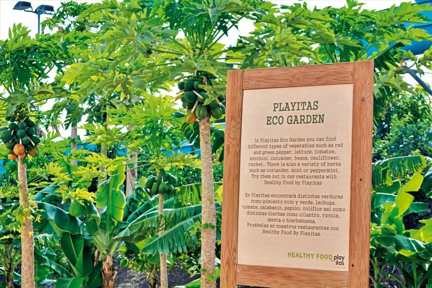 Playitas Aparthotel EXTERIOR