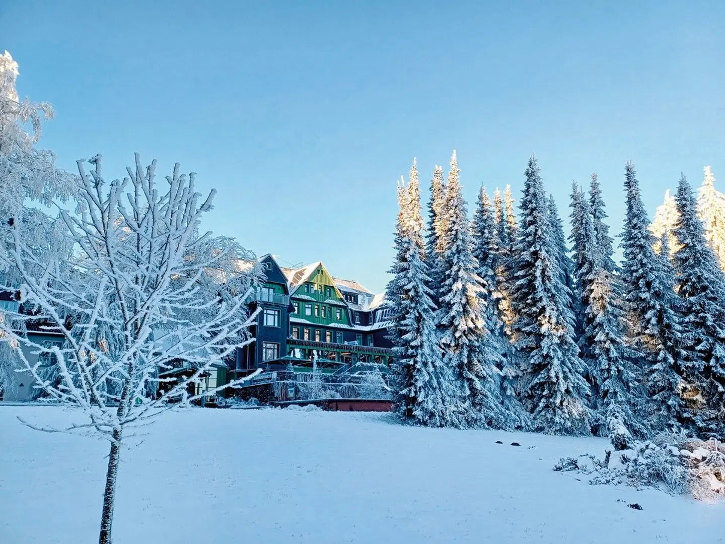 Berg & Spa Hotel Gabelbach LANDSCAPE