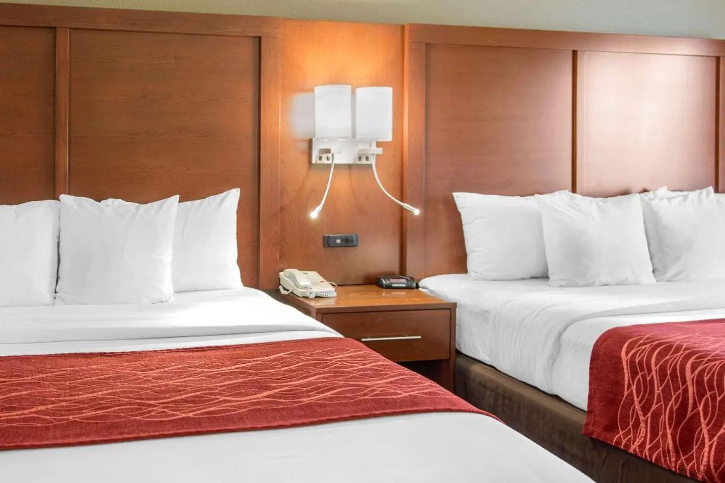 Comfort Inn & Suites San Francisco Airport North ROOM_EXAMPLE