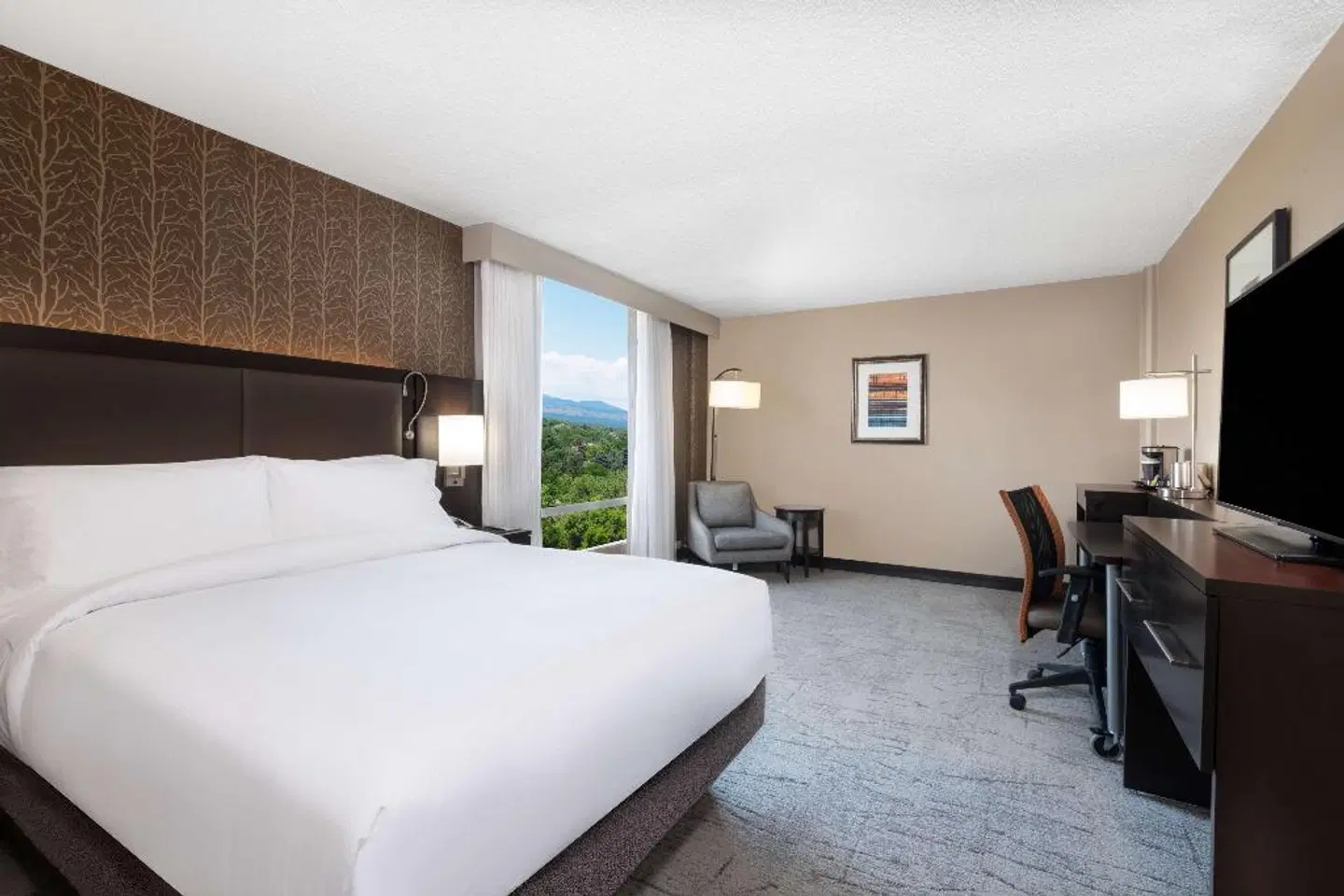 DoubleTree by Hilton Denver Cherry Creek ROOM_EXAMPLE