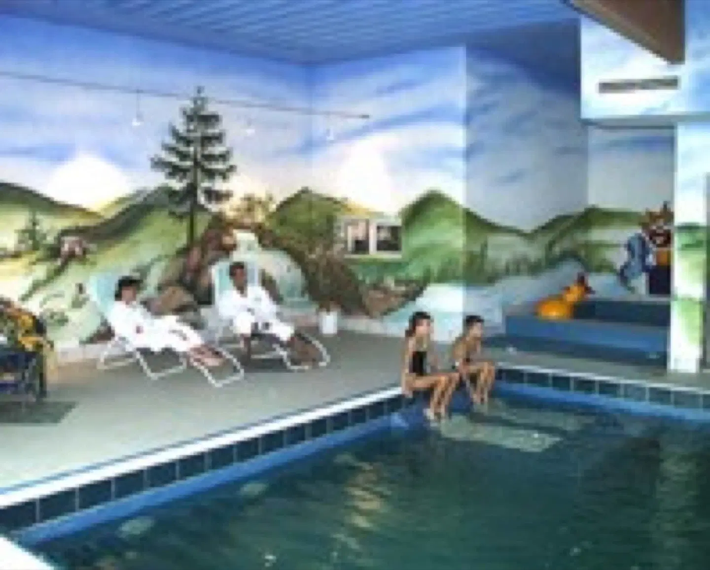 Hotel am Pfahl Hallenbad