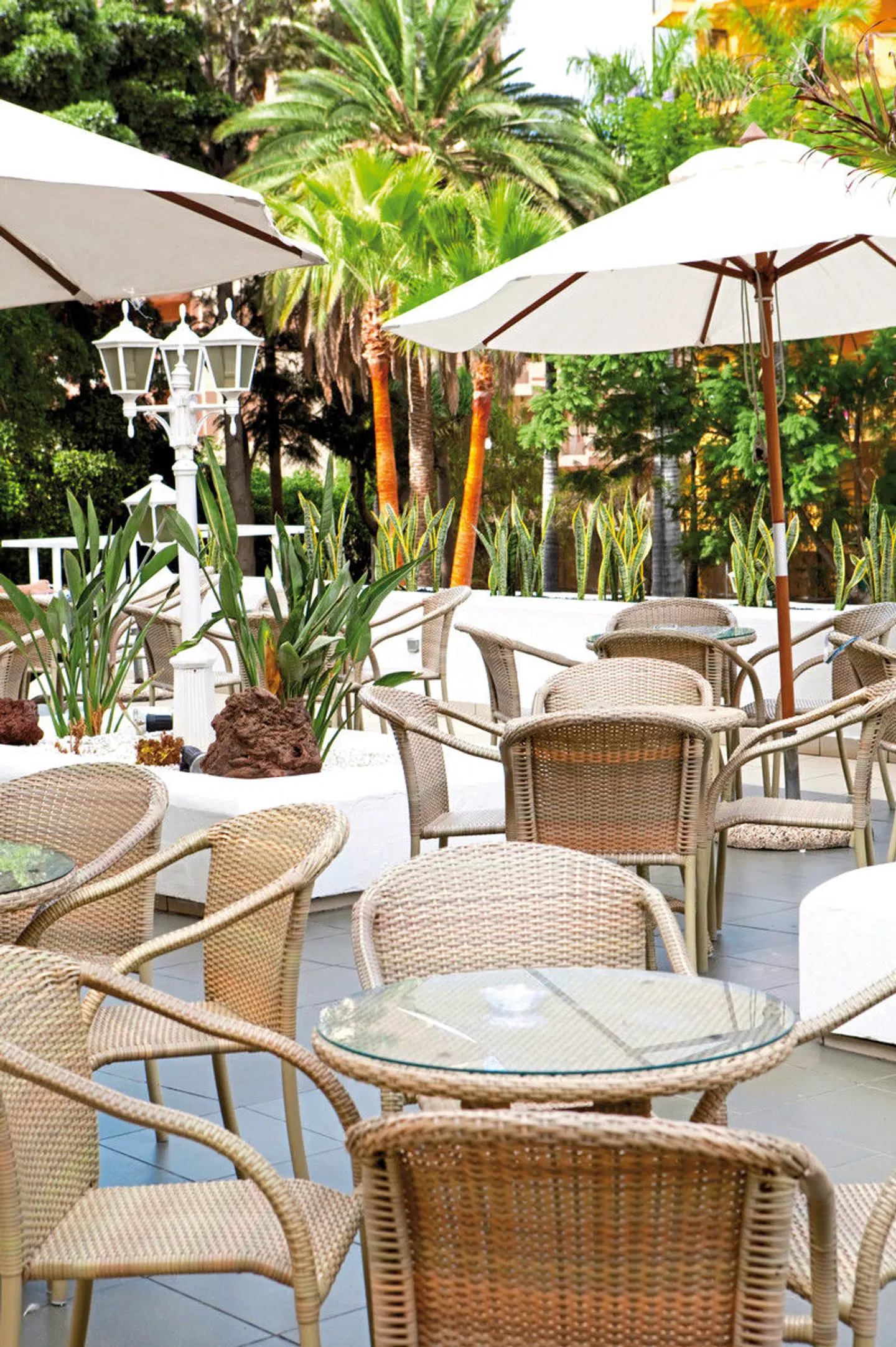 Be Live Adults Only Tenerife Terrasse