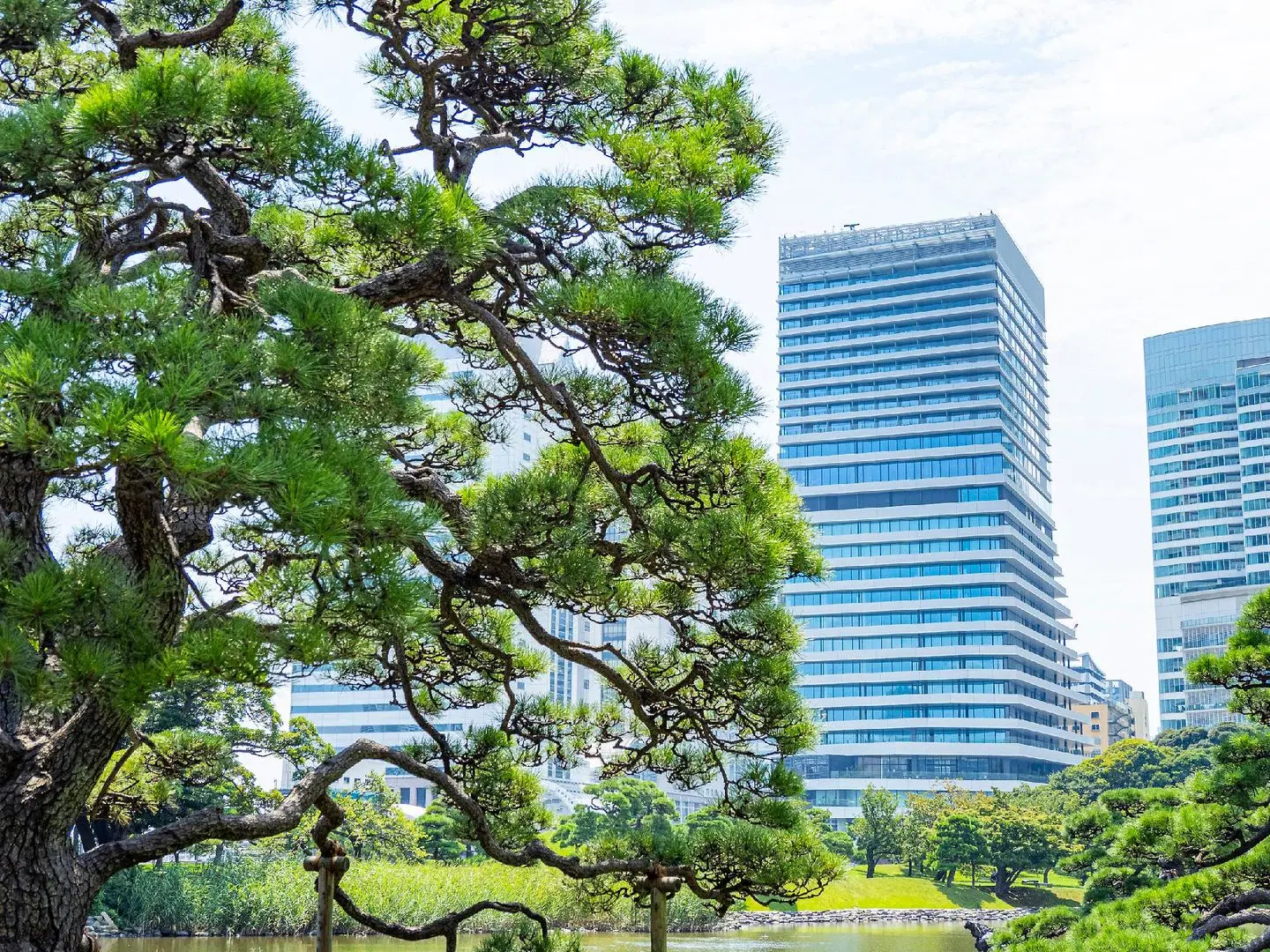 mesm Tokyo, Autograph Collection EXTERIOR