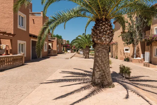 Ciudad Laurel Garten