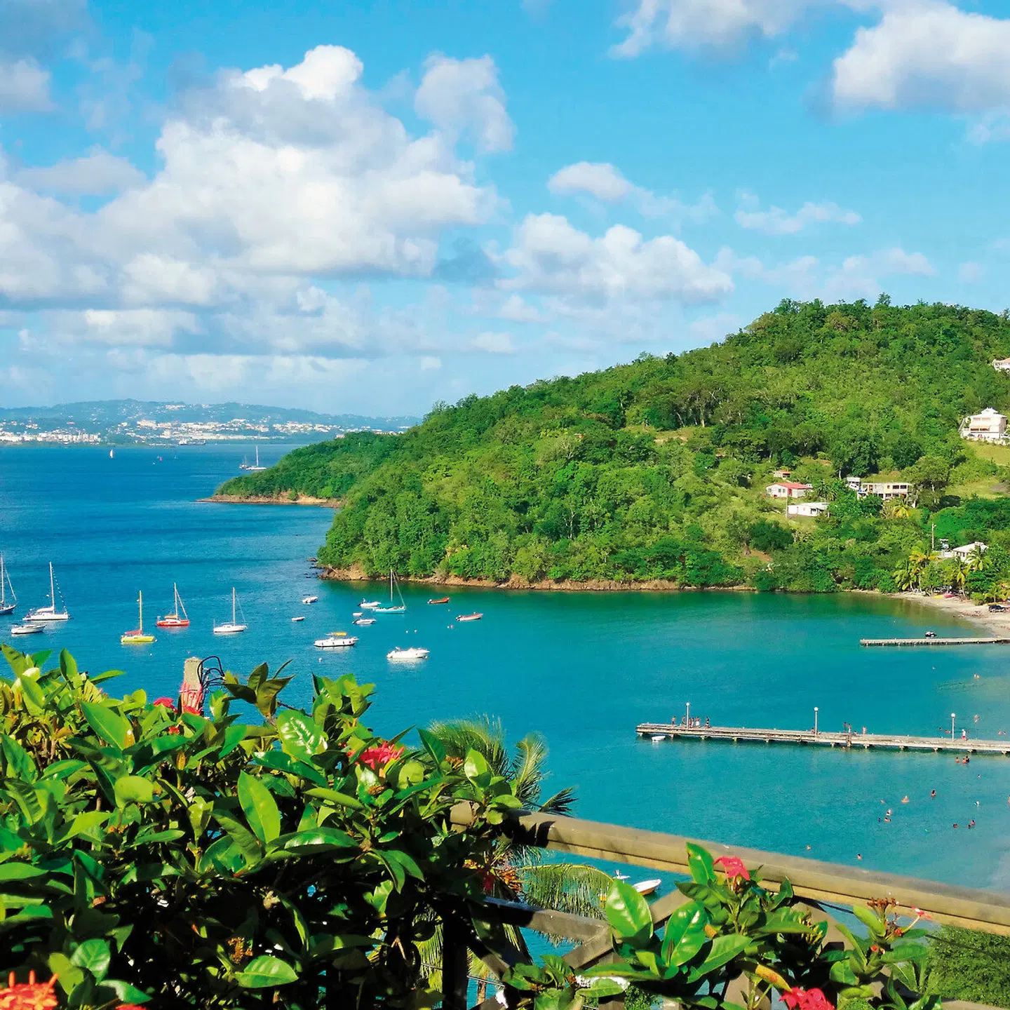 Le Panoramic LANDSCAPE