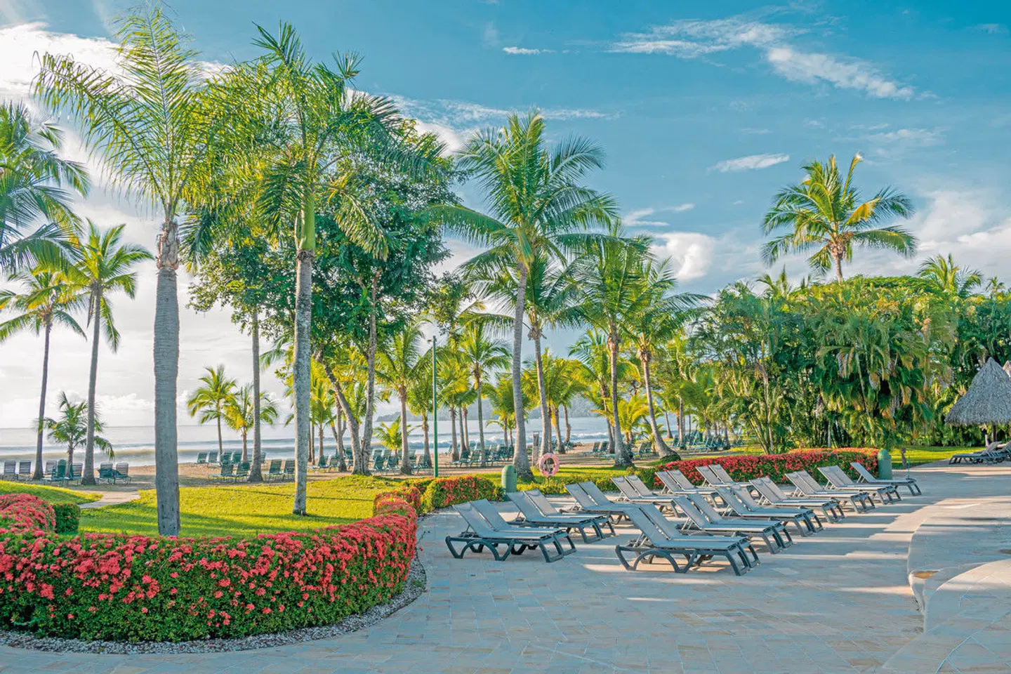 Barceló Tambor Garten