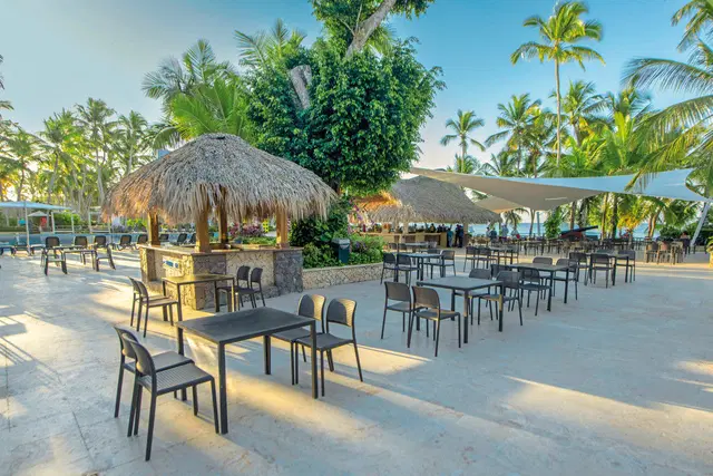 Viva Dominicus Beach by Wyndham Bar