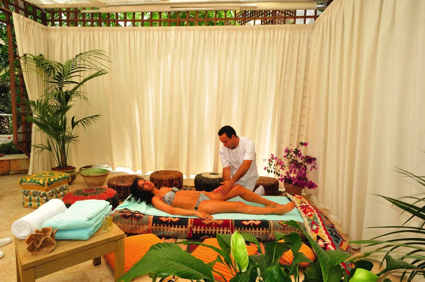 Alberi Del Paradiso ROOM_EXAMPLE