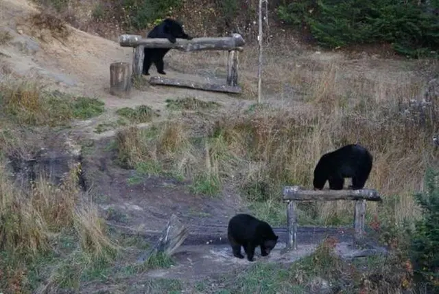 Gite au Vieux Pommier Tiere