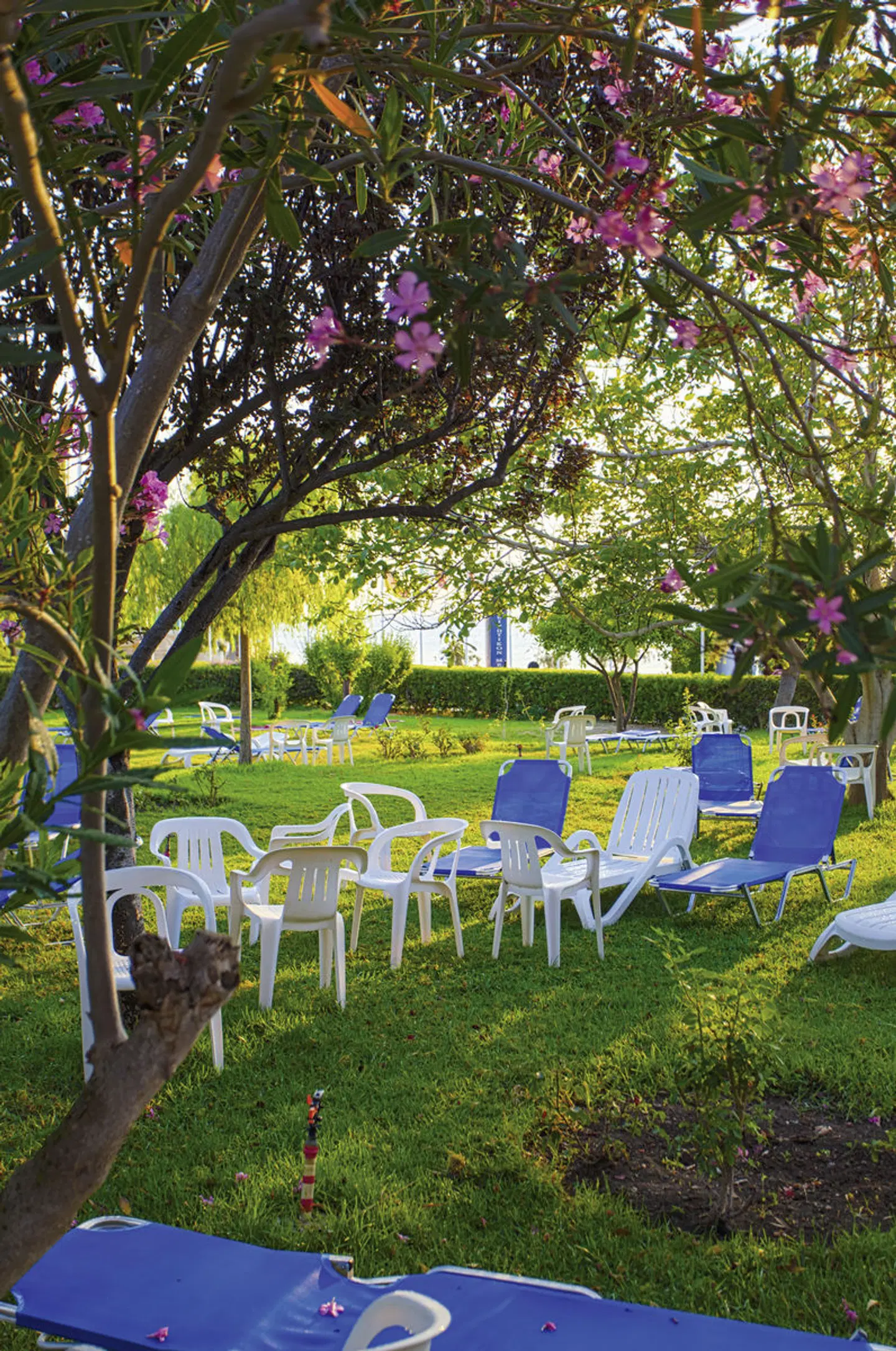 Continental Palace Garten