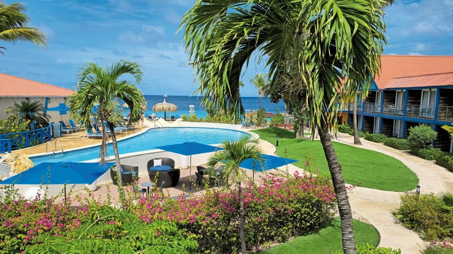 Divi Flamingo Beach Resort & Casino Garten