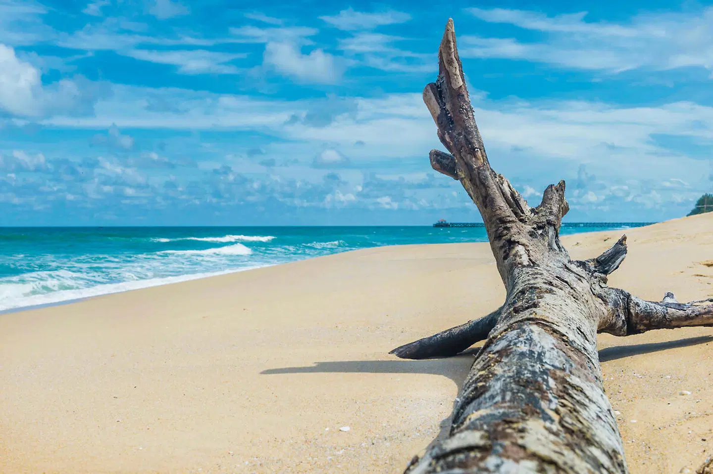 Aleenta Phuket Phang Nga Resort & Spa Tiere