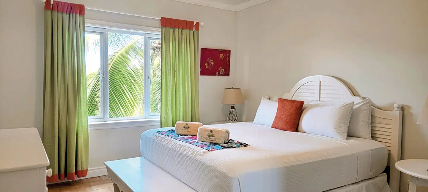 Pineapple Fields ROOM_EXAMPLE