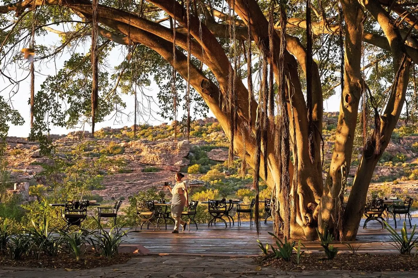 Bushmans Kloof Wilderness Reserve & Wellness Retreat LANDSCAPE